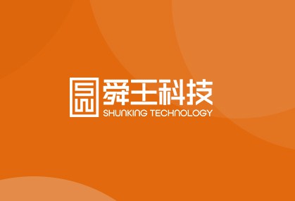 舜王公司对我部门重点项目进行督查调研