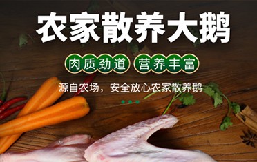 果林鹅详情页设计