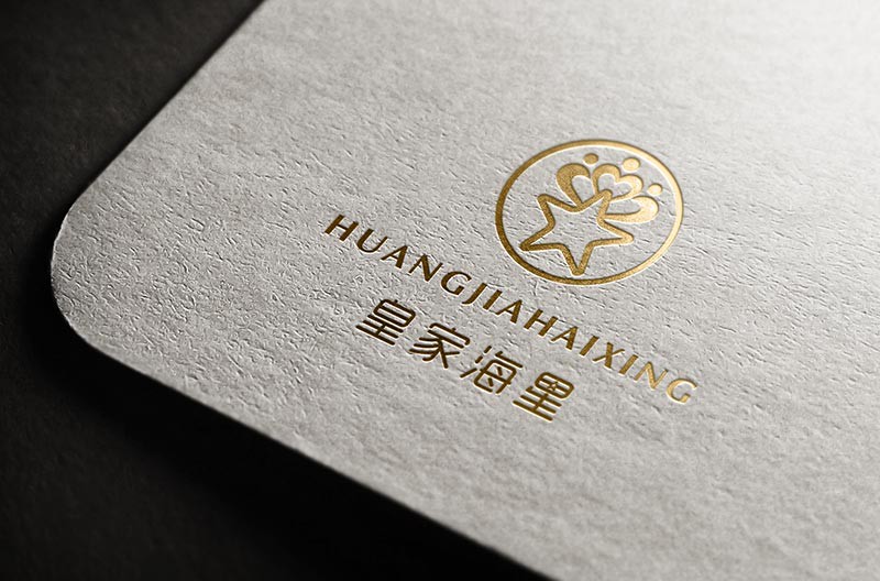 皇家海星教育LOGO设计