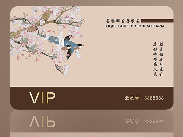 会员卡005